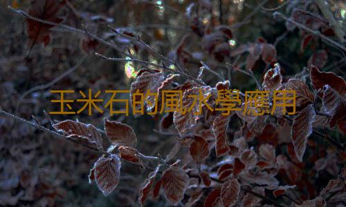 玉米石的風水學應用
