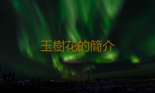 玉樹花的簡介