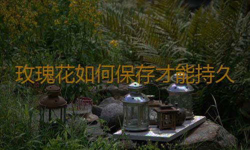 玫瑰花如何保存才能持久不枯 延長玫瑰花保鮮期的小妙招