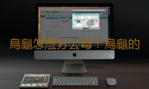 烏龜怎麽分公母？烏龜的種類