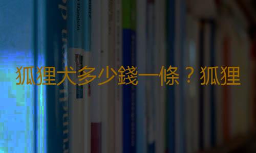 狐狸犬多少錢一條？狐狸犬怎麽喂養？