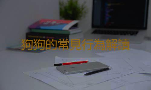 狗狗的常見行為解讀