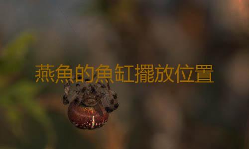 燕魚的魚缸擺放位置