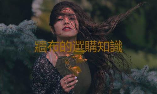 牆布的選購知識