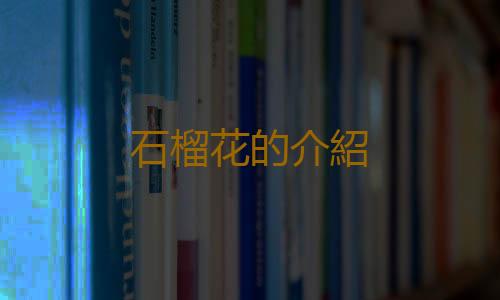 石榴花的介紹