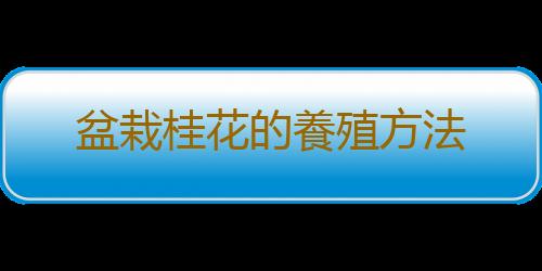 盆栽桂花的養殖方法
