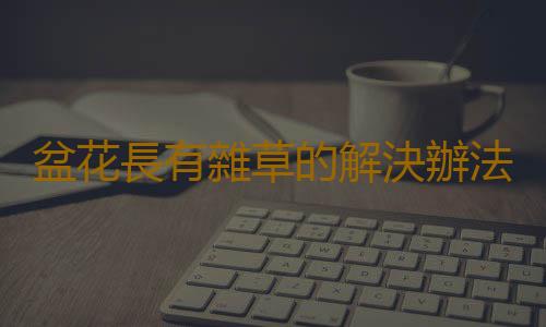 盆花長有雜草的解決辦法