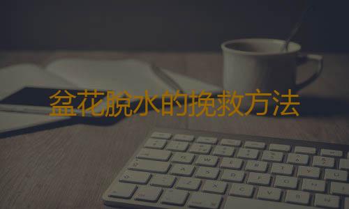 盆花脫水的挽救方法