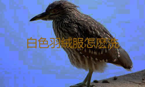 白色羽絨服怎麽洗