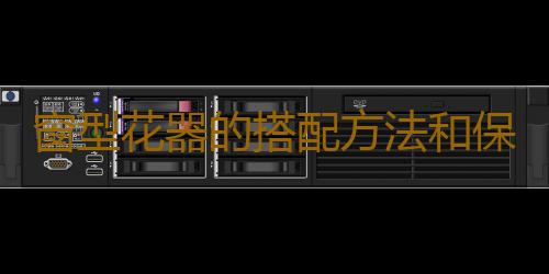 窗型花器的搭配方法和保養技巧