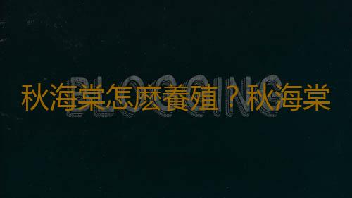 秋海棠怎麽養殖？秋海棠的簡介