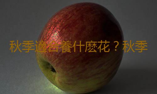 秋季適合養什麽花？秋季如何養花？