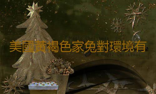 美國黃褐色家兔對環境有什麽要求？