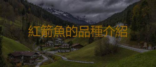 紅箭魚的品種介紹
