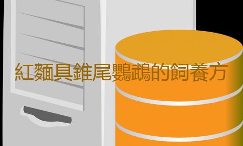紅麵具錐尾鸚鵡的飼養方法 紅麵具錐尾鸚鵡的價格