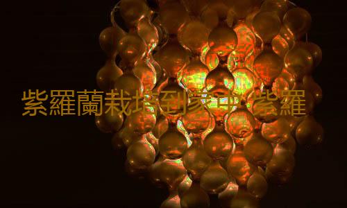 紫羅蘭栽培到家中 紫羅蘭的養殖方法及養護