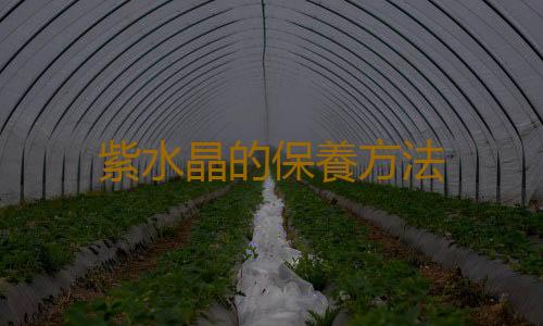 紫水晶的保養方法