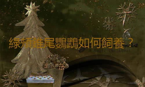 綠頰錐尾鸚鵡如何飼養？綠頰錐尾鸚鵡的生活環境