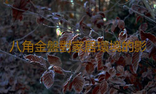 八角金盤對家居環境的影響