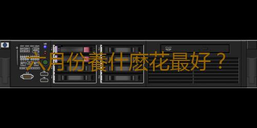 六月份養什麽花最好？