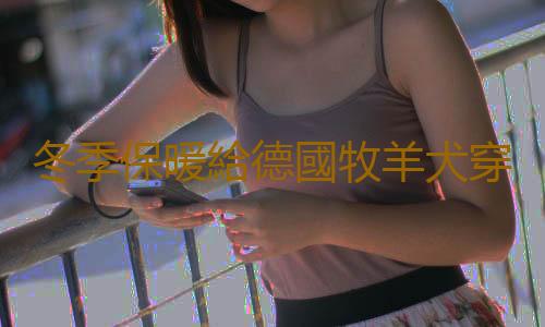 冬季保暖給德國牧羊犬穿衣服需要注意哪些