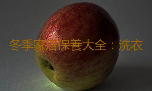 冬季家居保養大全：洗衣機能洗羽絨服嗎？