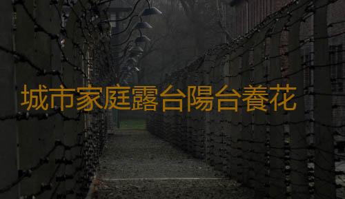 城市家庭露台陽台養花 養護要點和注意事項