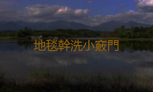 地毯幹洗小竅門