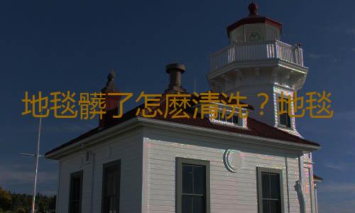 地毯髒了怎麽清洗？地毯清洗小竅門