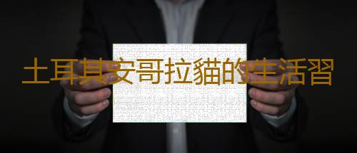 土耳其安哥拉貓的生活習性是什麽？