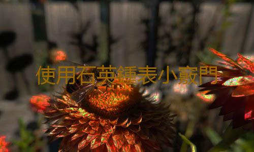 使用石英鍾表小竅門