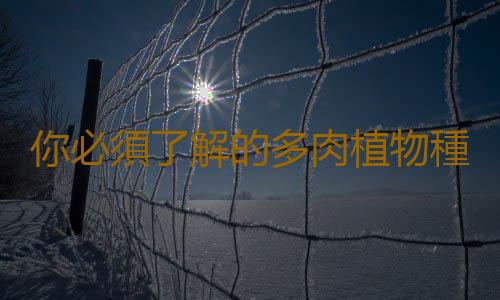 你必須了解的多肉植物種植常識
