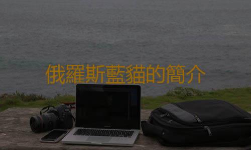 俄羅斯藍貓的簡介