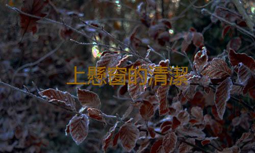 上懸窗的清潔