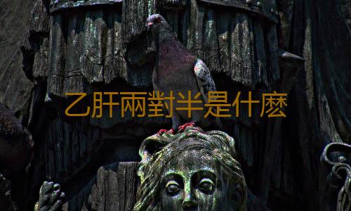 乙肝兩對半是什麽