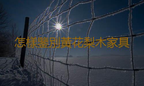怎樣鑒別黃花梨木家具