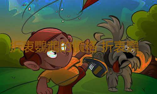 折衷鸚鵡的價格 折衷鸚鵡的簡介
