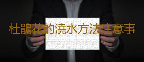 杜鵑花的澆水方法注意事項