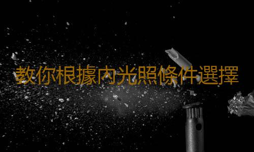 教你根據內光照條件選擇花卉