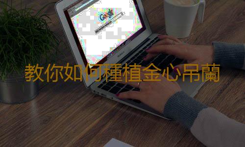 教你如何種植金心吊蘭