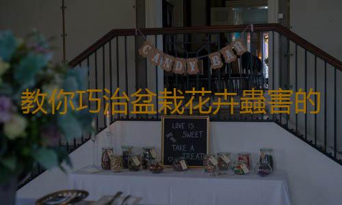 教你巧治盆栽花卉蟲害的方法