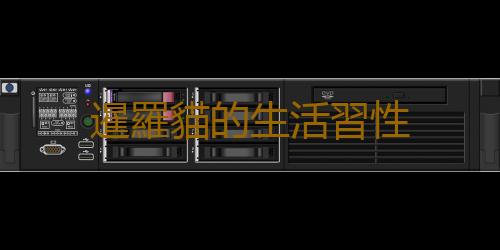 暹羅貓的生活習性