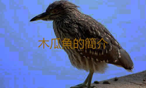木瓜魚的簡介