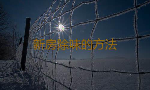 新房除味的方法