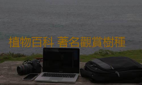 植物百科 著名觀賞樹種——槭樹