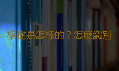 榕樹是怎樣的？怎麽識別榕樹？
