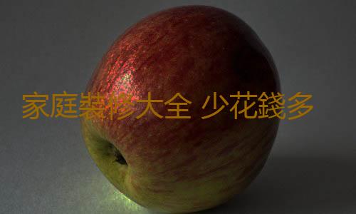 家庭裝修大全 少花錢多辦事