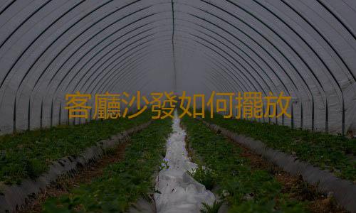 客廳沙發如何擺放