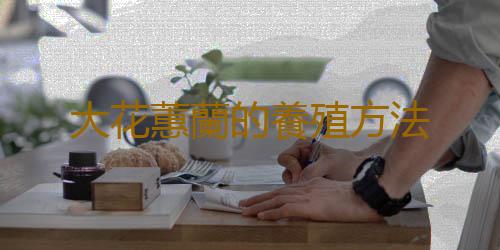 大花蕙蘭的養殖方法