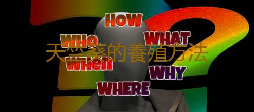天竺葵的養殖方法